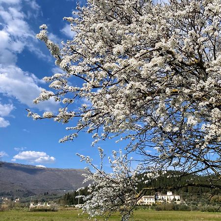 Accanto A Firenze Прато Экстерьер фото