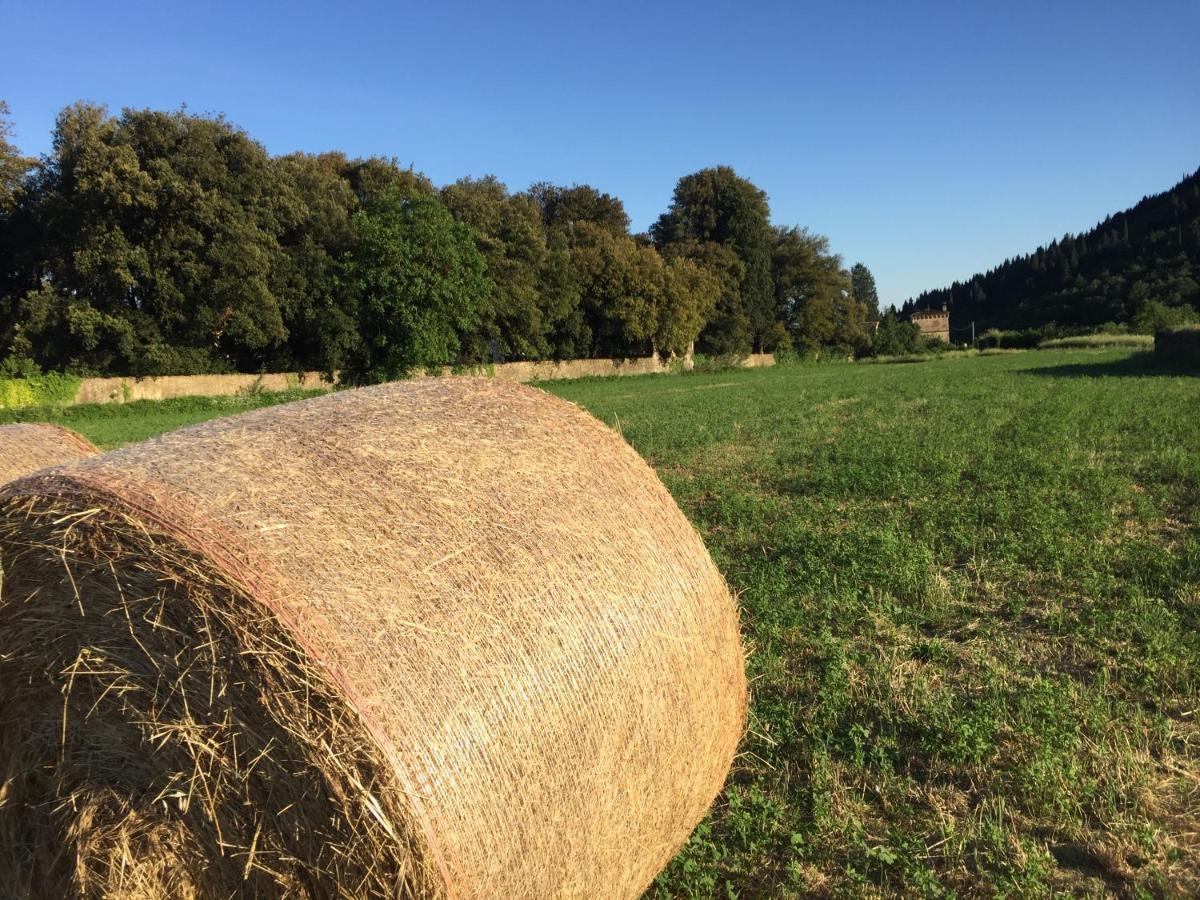 Accanto A Firenze Прато Экстерьер фото