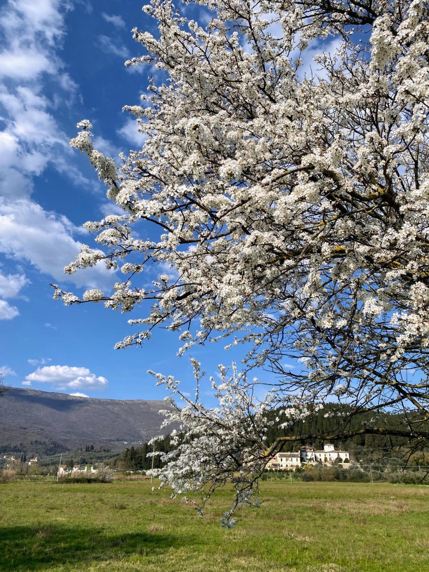 Accanto A Firenze Прато Экстерьер фото